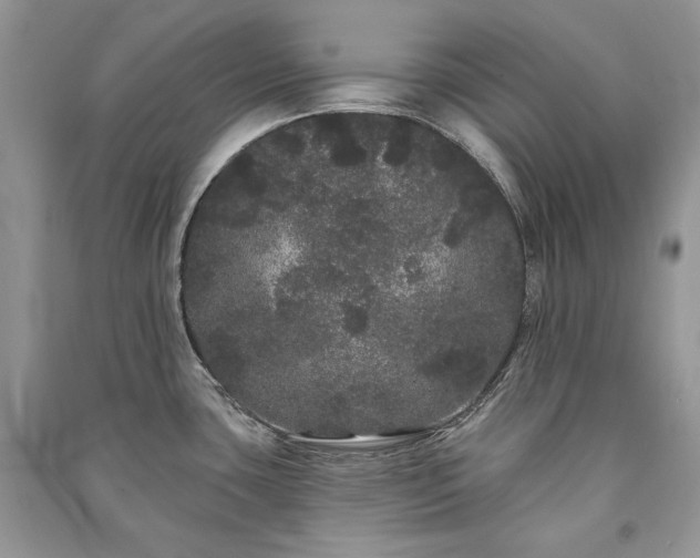 X0000091091435200708131310