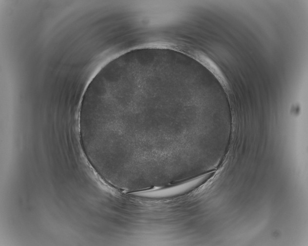 X0000091091436200708131310