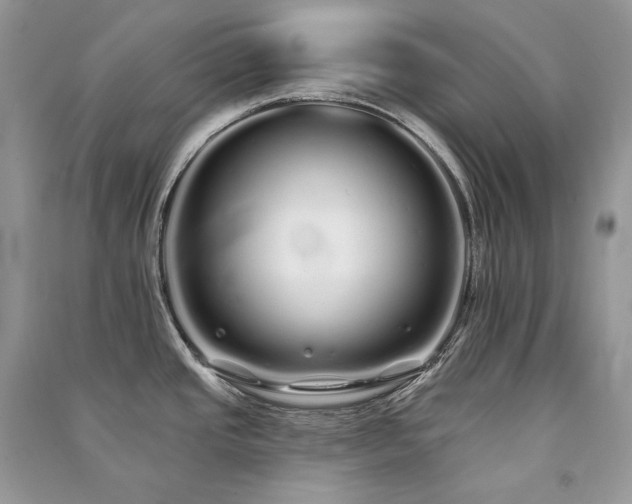 X0000091091437200708131310