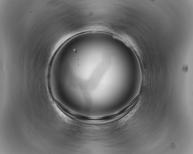 X0000091091438200708131310