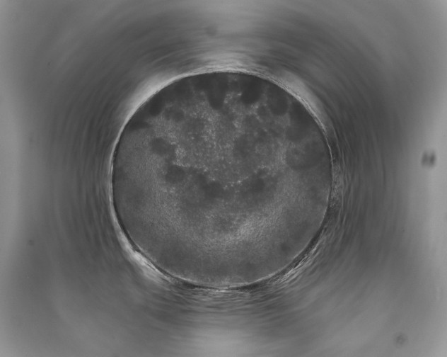 X0000091091439200708131310