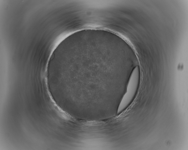 X0000091091440200708131310