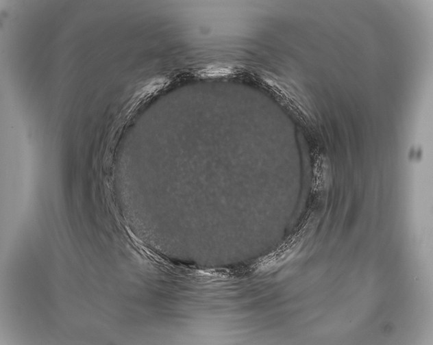 X0000091091441200708131309