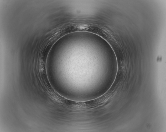 X0000091091442200708131309