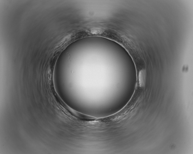 X0000091091443200708131309