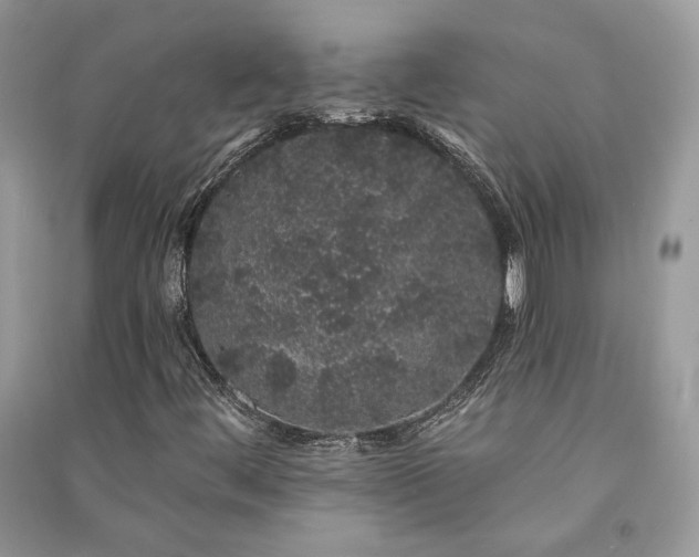 X0000091091444200708131309