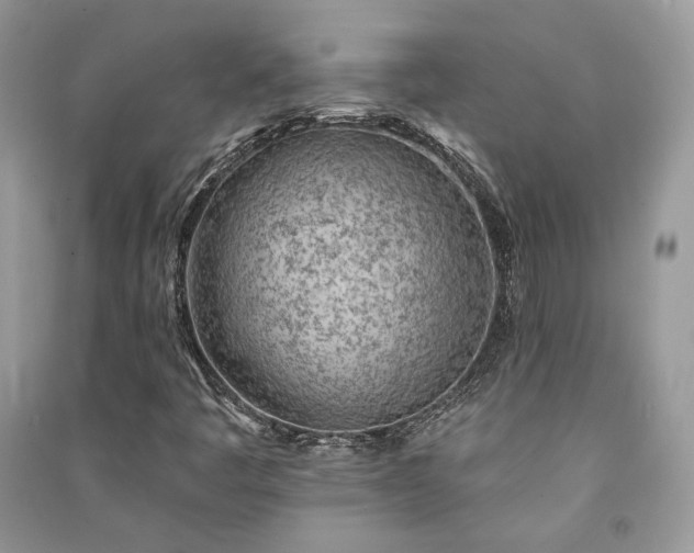 X0000091091445200708131309