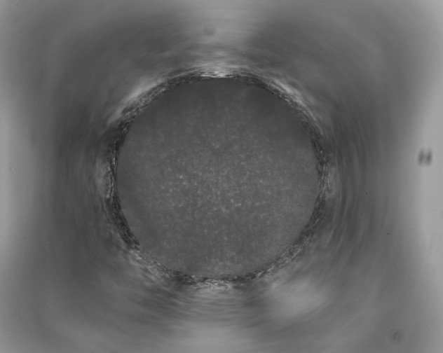 X0000091091446200708131309