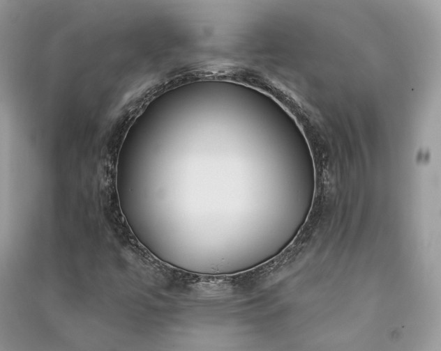 X0000091091447200708131309