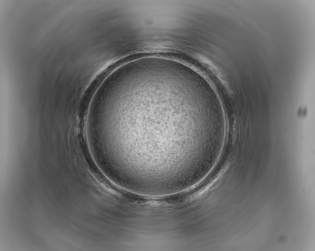 X0000091091449200708131309
