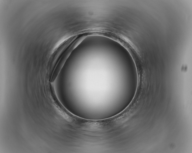X0000091091450200708131309