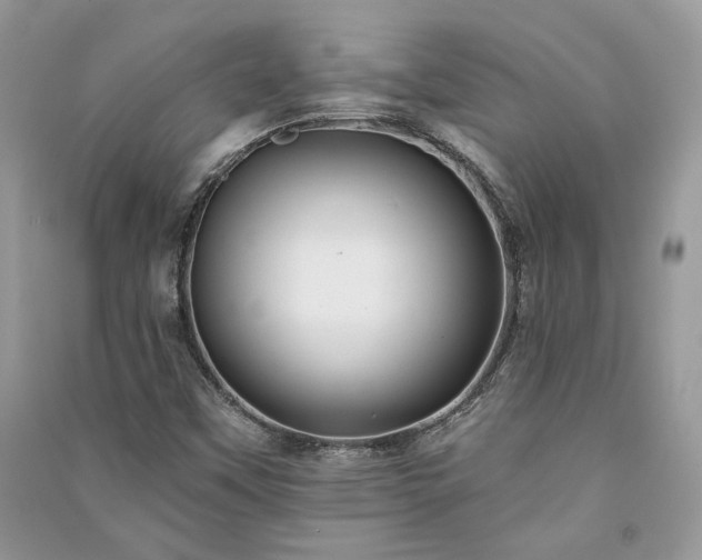 X0000091091451200708131309