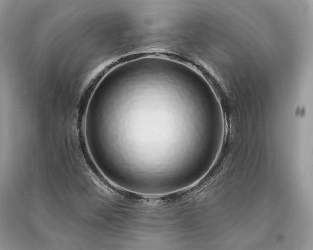X0000091091452200708131309