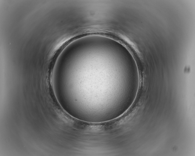 X0000091091453200708131309
