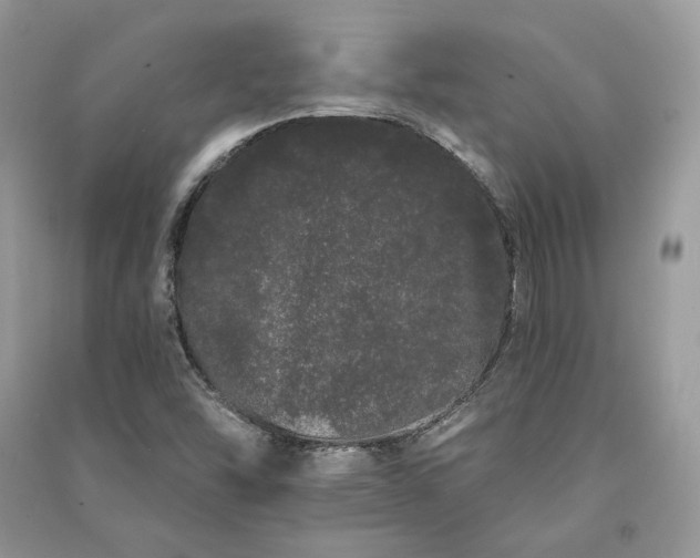 X0000091091454200708131309