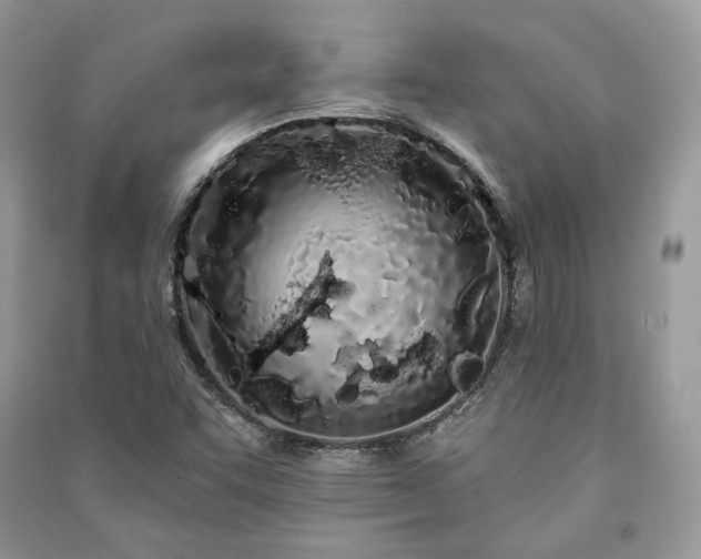 X0000091091455200708131309