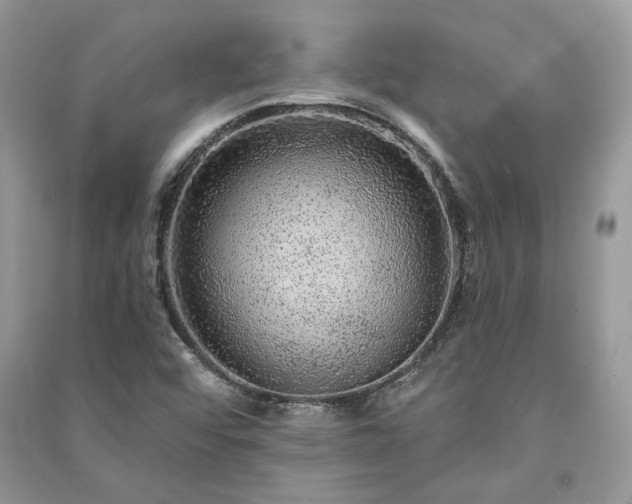 X0000091091456200708131309