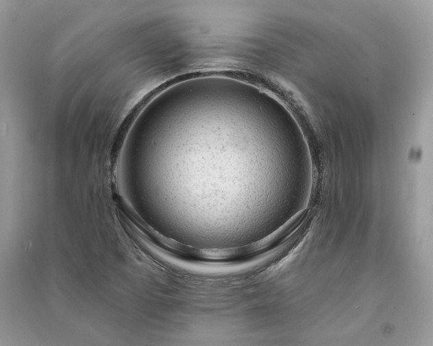 X0000091091457200708131309