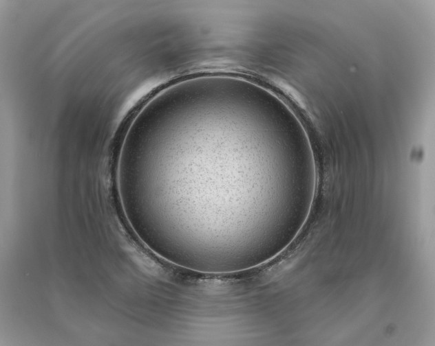 X0000091091458200708131309