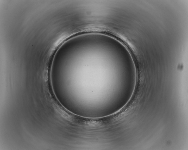 X0000091091459200708131309