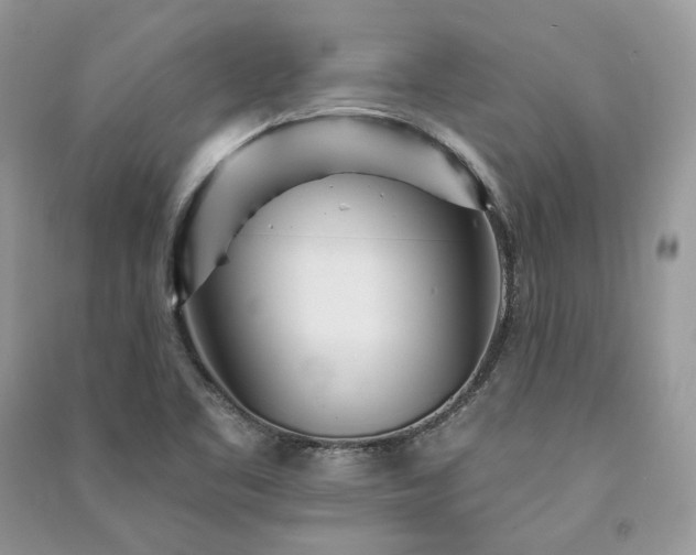 X0000091091461200708131309