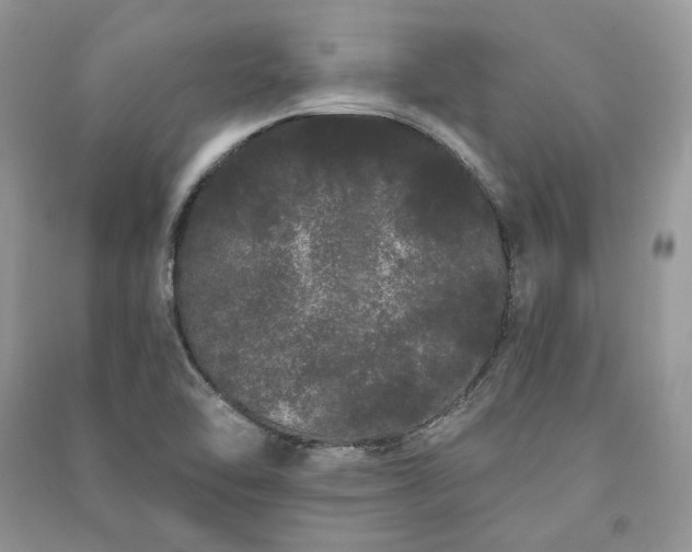 X0000091091462200708131309