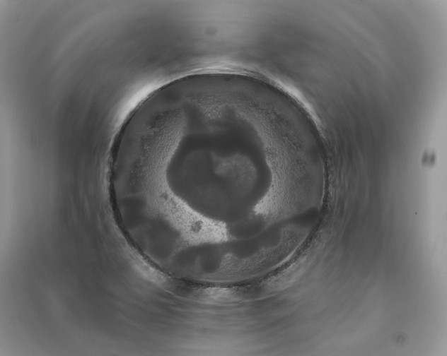 X0000091091463200708131309