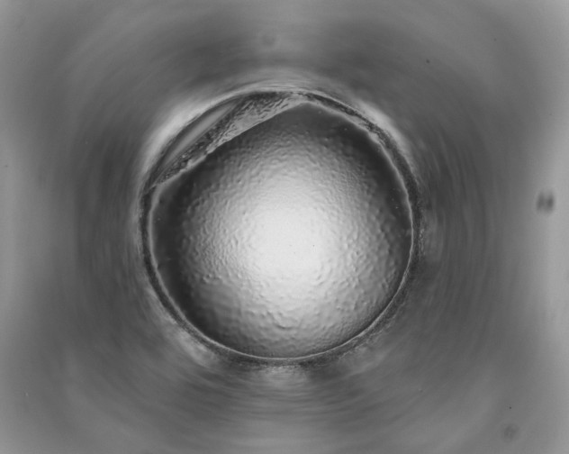 X0000091091464200708131309