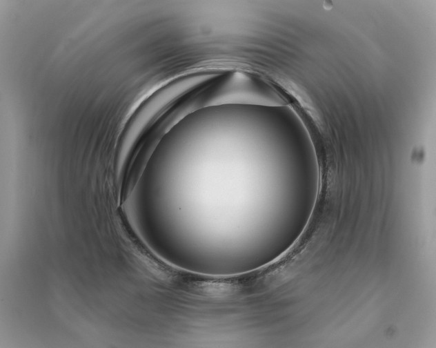 X0000091091465200708131309