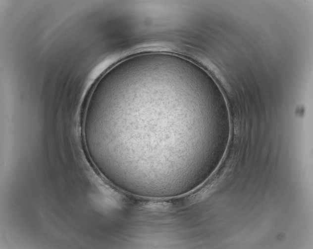 X0000091091466200708131309