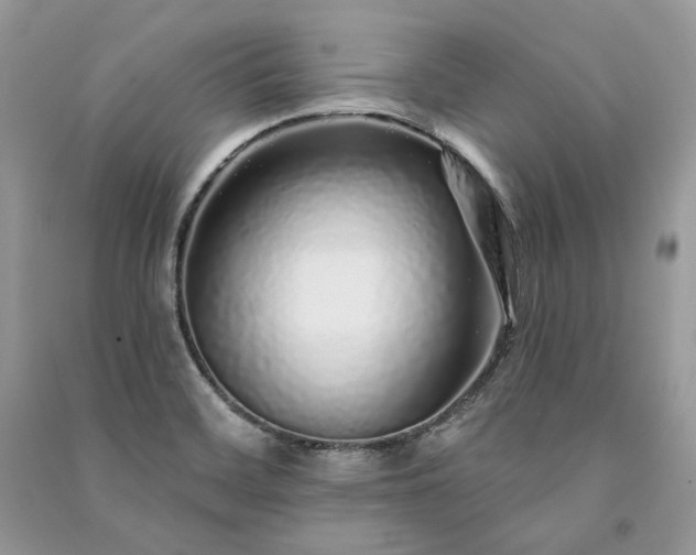 X0000091091468200708131309