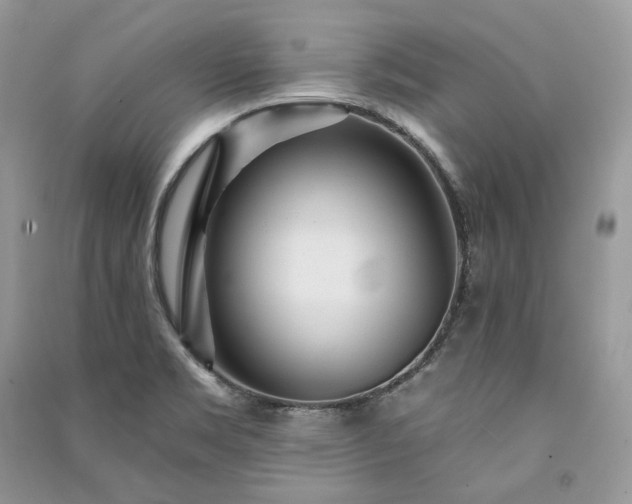 X0000091091469200708131309