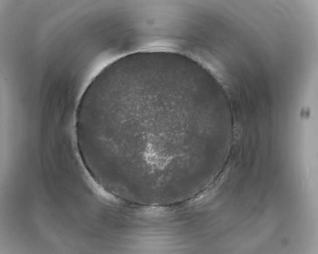 X0000091091470200708131309