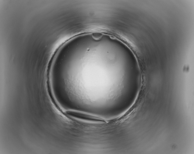X0000091091471200708131309