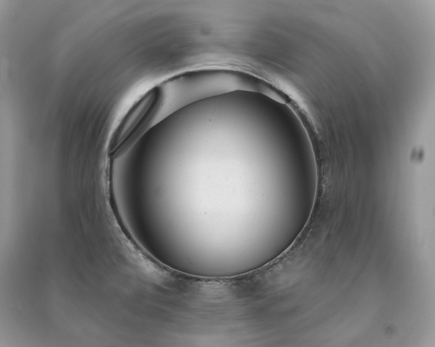 X0000091091472200708131309