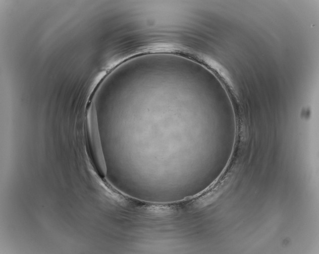 X0000091091473200708131309