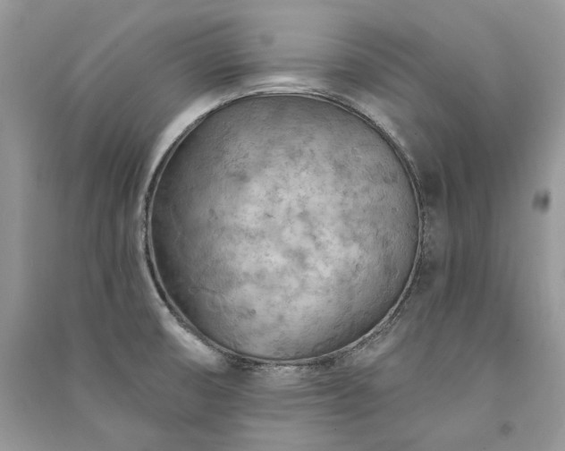 X0000091091474200708131309