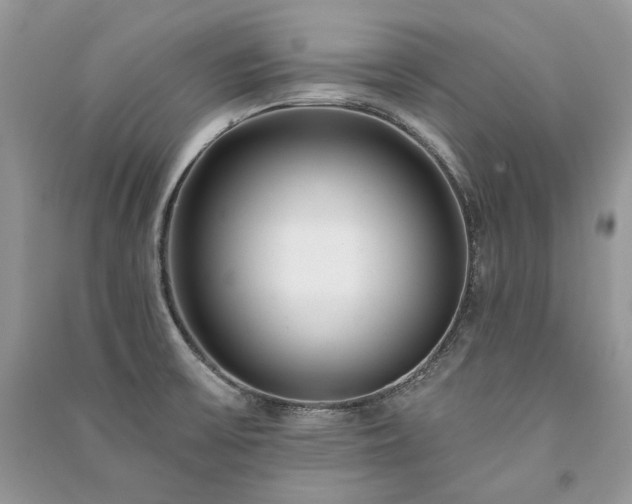 X0000091091475200708131309