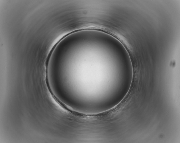 X0000091091476200708131309
