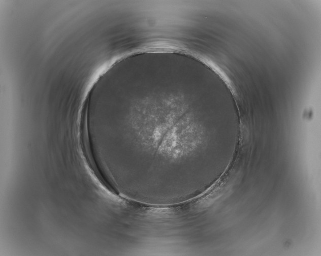 X0000091091477200708131309