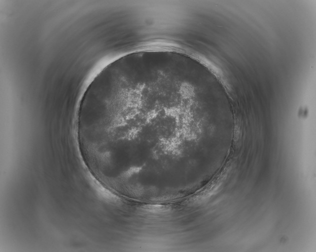 X0000091091478200708131309