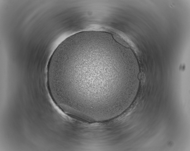 X0000091091479200708131309