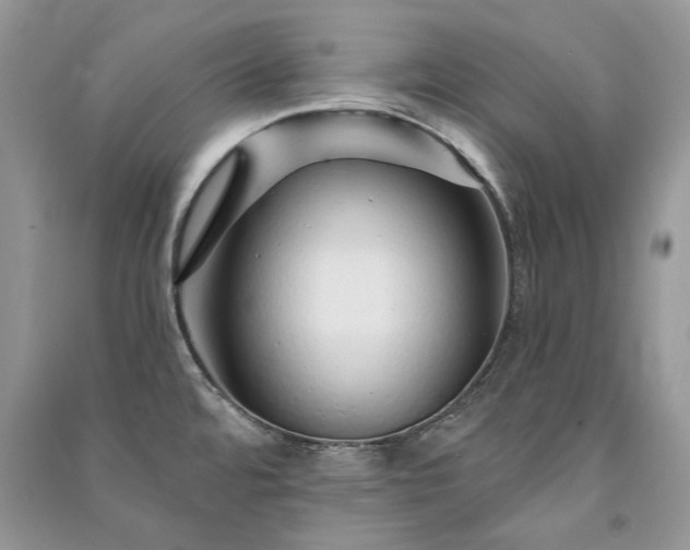 X0000091091480200708131309
