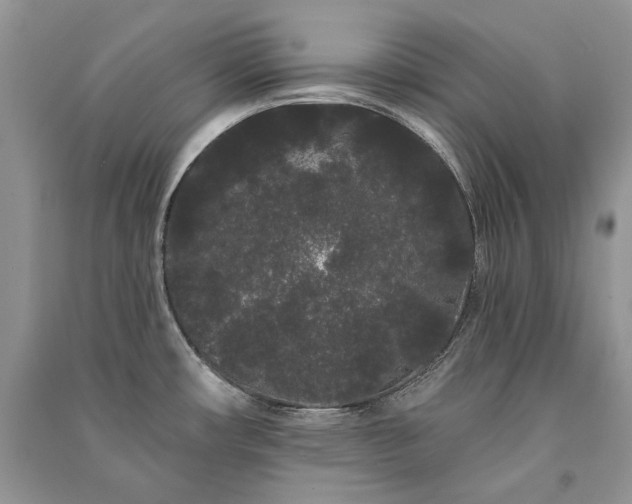 X0000091091482200708131309