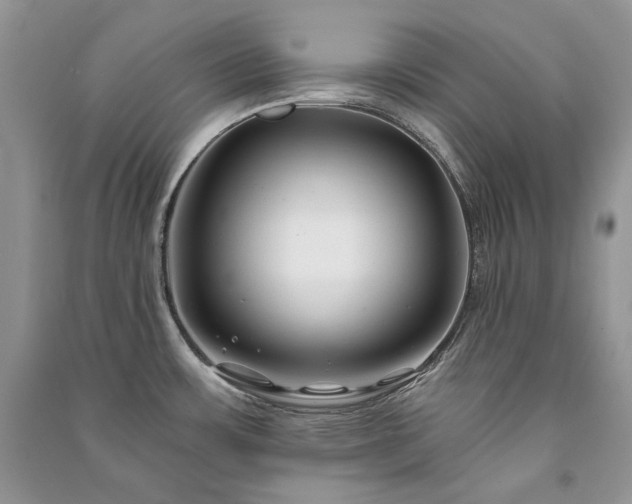 X0000091091483200708131309