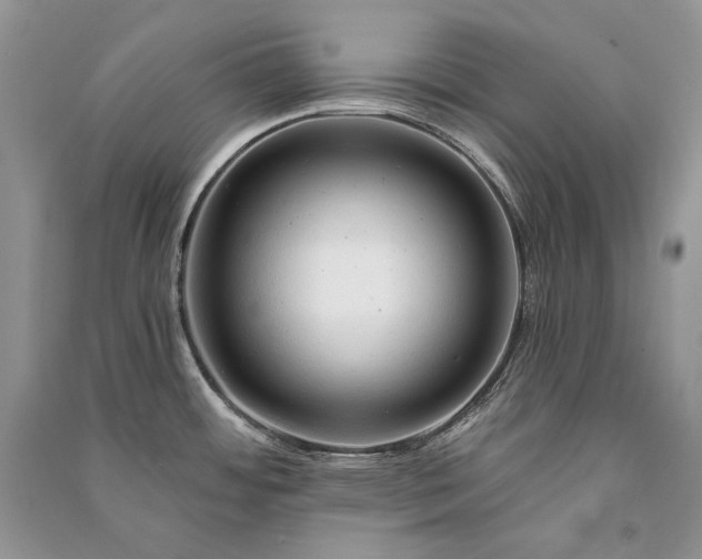 X0000091091484200708131309