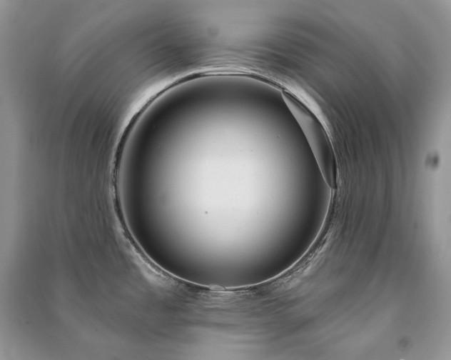 X0000091091485200708131309