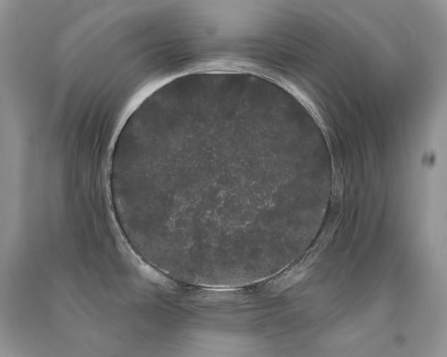 X0000091091486200708131309