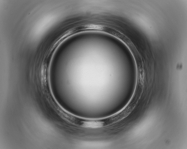 X0000091091487200708131308