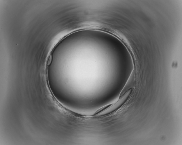X0000091091488200708131308